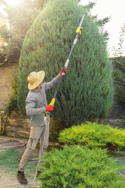 Best Pest Control for Lawns  in Milton, GA